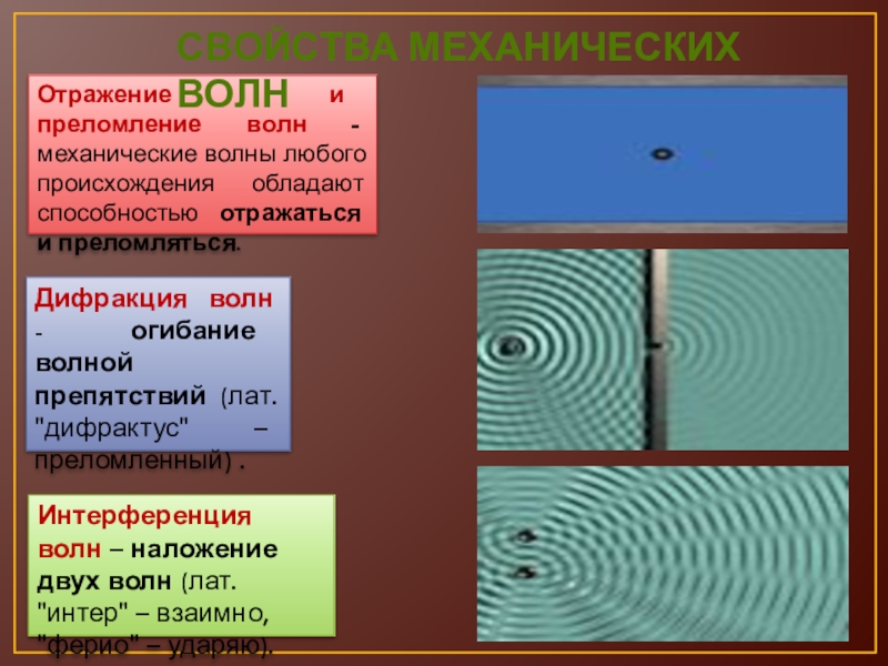 Интерференция и дифракция презентация