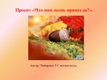 Презентация Что нам осень принесла