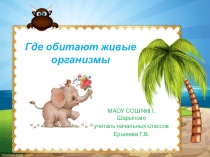Презентация по окружающему миру Где обитают живые организмы