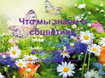 Дидактическая игра по биологии Что мы знаем о соцветиях?