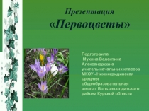 Презентания по окружающему миру Первоцветы