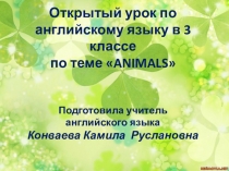 Красочная презентация к открытому уроку Animals
