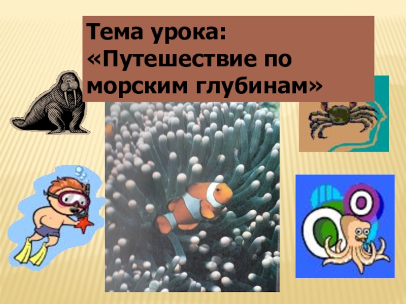 Презентация Презентация по биологии к уроку Путешествие по морским глубинам.