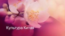 Презентация МХК Культура Китая