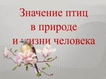 Презентация по биологии на тему: Значение птиц в природе и в жизни человека (7 класс)