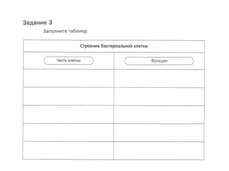 Заполнить таблицу строение. Строение бактериальной клетки таблица часть клетки и функции. Функции бактериальной клетки таблица. Строение бактериальной клетки таблица часть и функции. Бактериальная клетка строение и функции таблица.