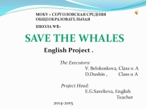 Презентация по английскому языку по теме  Save Whales