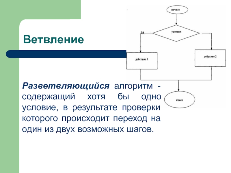 Как выглядит блок схема разветвляющегося алгоритма