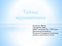 Проектно - исследовательская работа Домашний муравейник