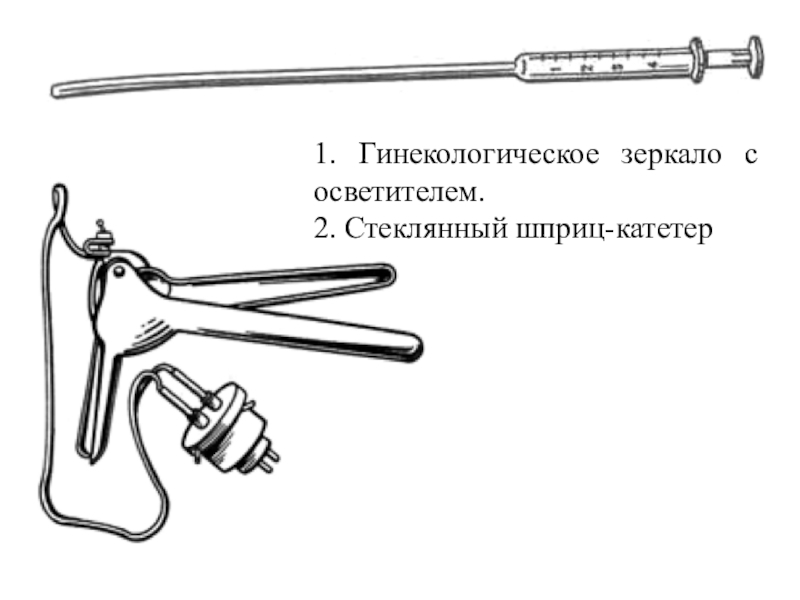 Схема для осеменения коров