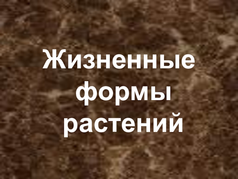 Презентация Презентация по биологии в 5 классе по теме Жизненные формы растений