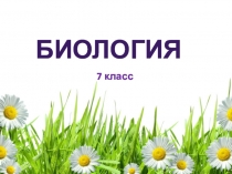 Презентация по биологии на тему Многообразие пресмыкающихся