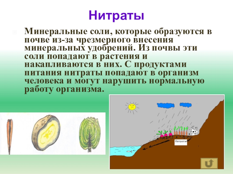 Минеральные соли в почве. Минеральные соли в почве образуются из. Минерализация почвы. Минеральные соли для растений. Образование Минеральных солей в почве схема.