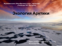 Презентация по окружающему миру на тему Экологическая катастрофа в Арктике