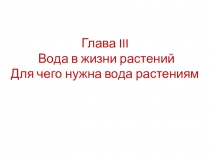 Презентация по экологии для 6 класса на тему Для чего нужна вода растениям