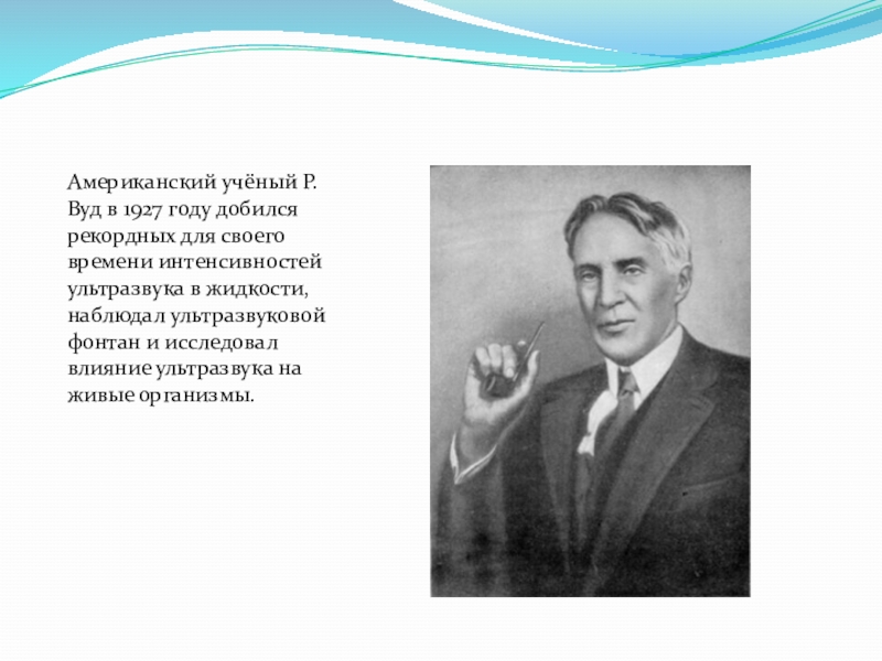 Реферат: Ультразвуки в живой природе