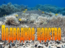 Презентация к уроку ИЗО Подводное царство