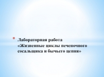 Лабораторная работа по биологии 7 класс по программе Сонин, Захаров Жизненный цикл печеночного сосальщика и бычьего цепня