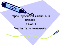 Урок Части тела человека