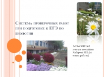 Презентация Система проверочных работ