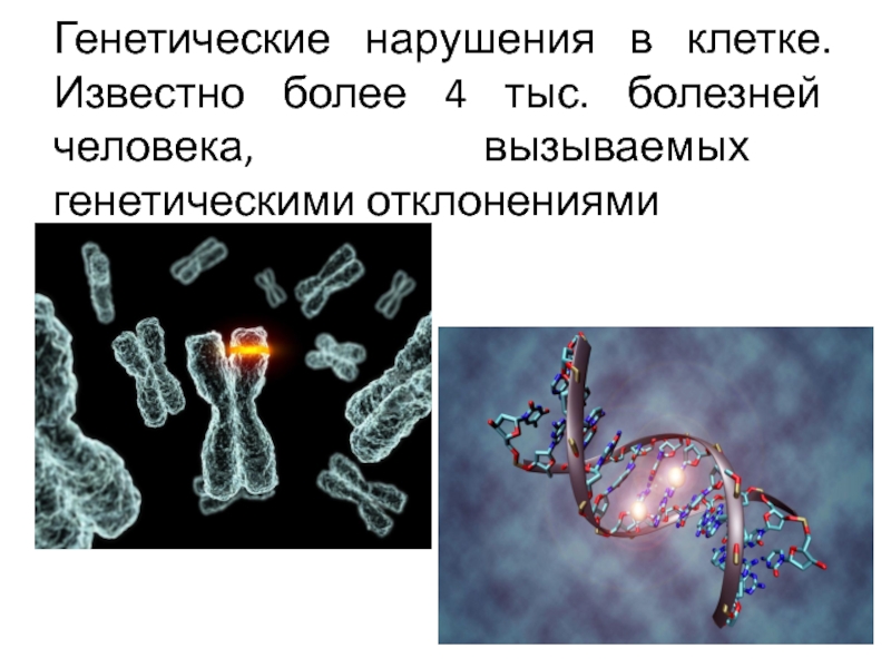 Известно что клетки