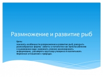 Размножение и развитие рыб