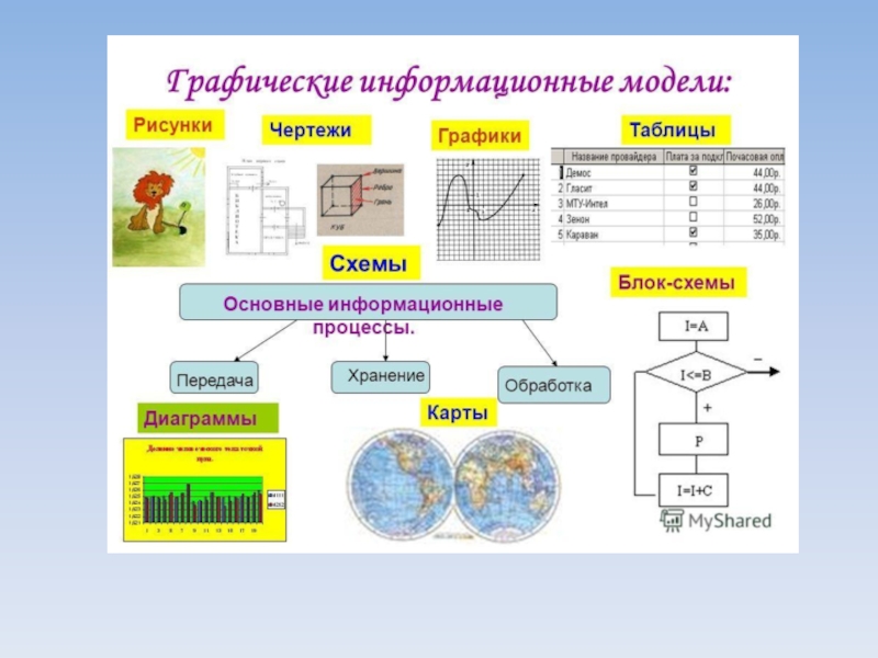 Математика в биологии презентация