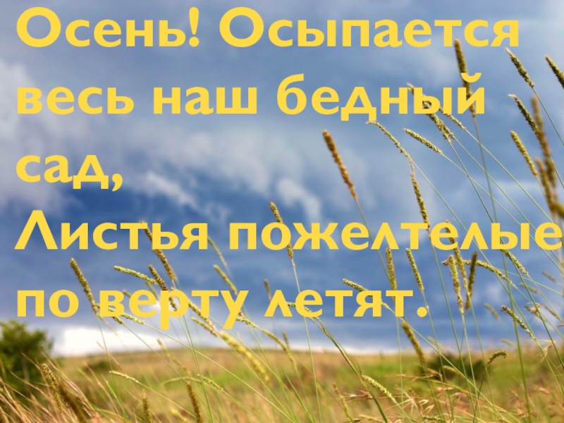 Осень! Осыпается весь наш бедный сад, Листья пожелтелые по верту летят.