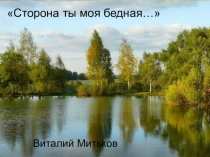 Презентация к стихотворению Сторона ты моя бедная В. Митькова