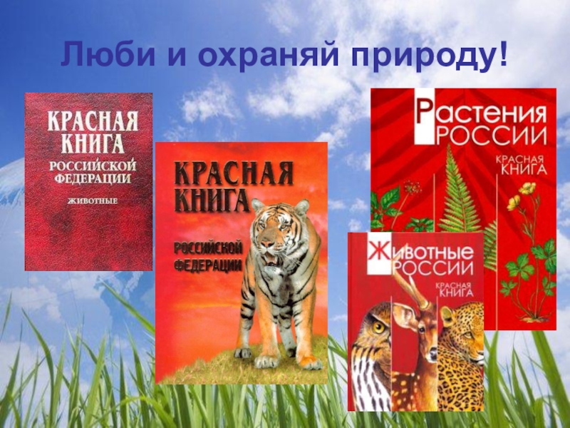 Охрана природы красная книга россии перспектива презентация 1 класс