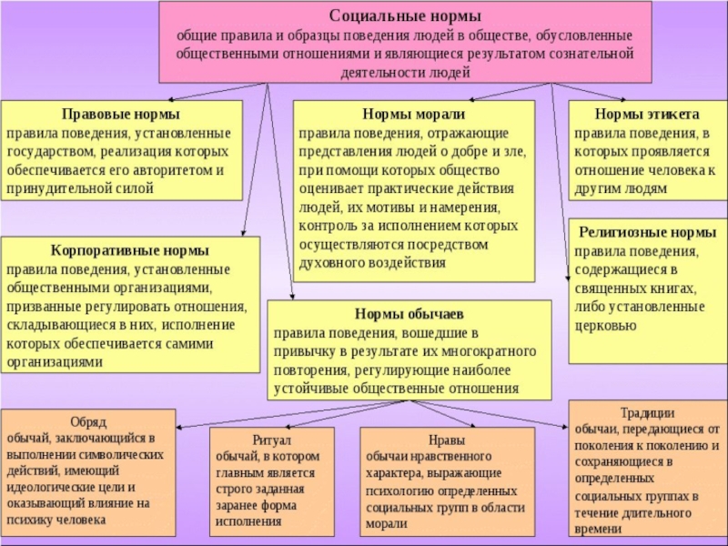 Презентация на тему социальные нормы