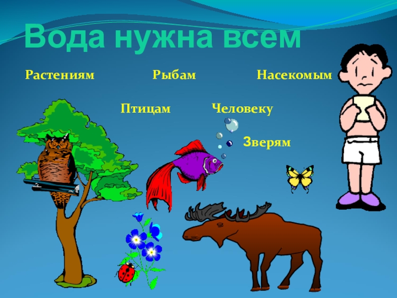 Для чего нужна вода животным 2 класс. Кому нужна вода картинки для детей. Картинки кому нужна вода для дошкольников. Детские картинки зачем нужна вода. Вода нужна растению для.