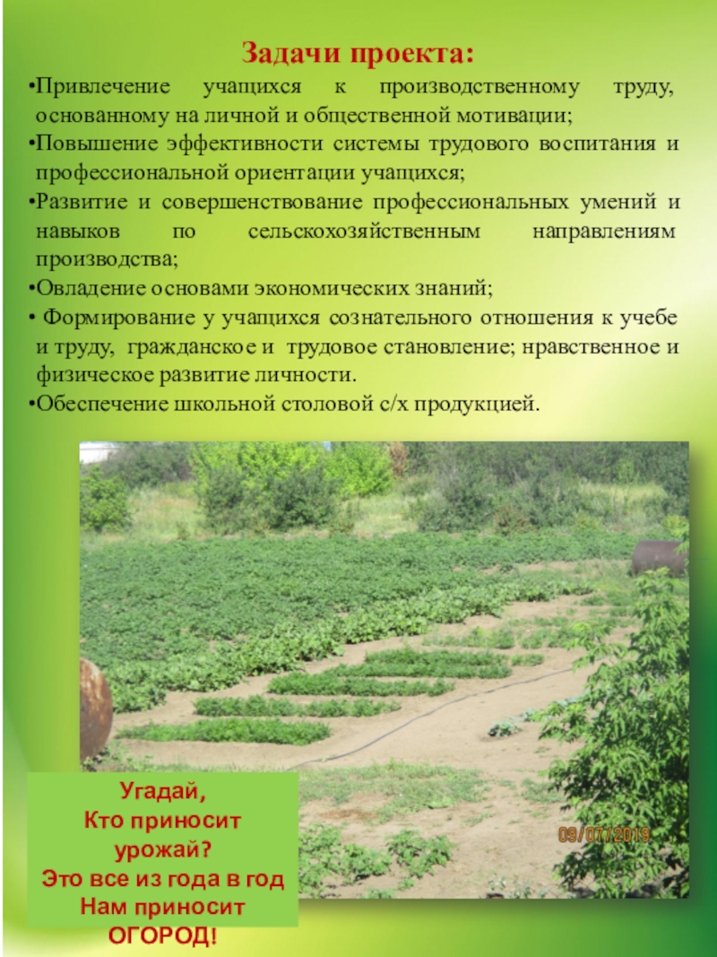 Задача огород. Доклад про огород. Паспорт проекта огорода. Актуальность проекта огород на участке. Конечный продукт проекта огород.