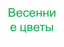 Урок по ИЗО на тему Весенние цветы (3 класс)