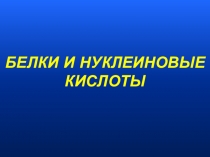 Презентация Белки и нуклеиновые кислоты