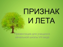 Презентация для учащихся начальных классов коррекционной школы VIII вида ПРИЗНАКИ ЛЕТА