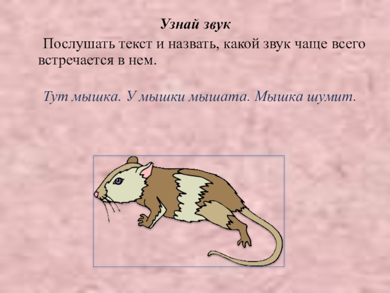 Что звучит определить. Каким звуком привлечь мышь. Игры на развитие фонематического слуха. Исследование состояния фонематического слуха мишка мышка. Логопед мышь шумишь.