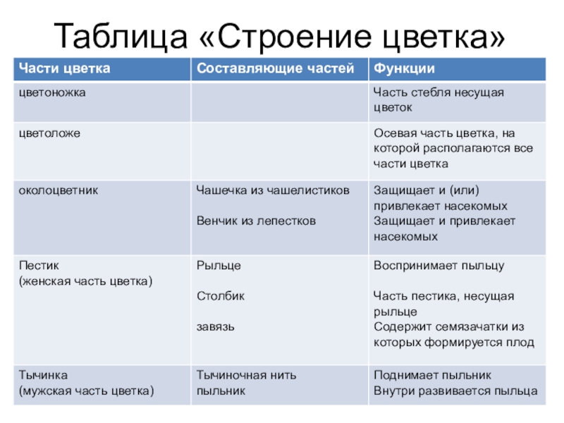 Ученик выполнял проект по биологии какие признаки