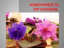 Презентация по биологии на темуИзменчивость организмов(9 класс)