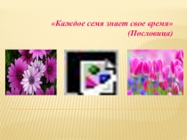 Презентация к уроку Тайны прорастания семян