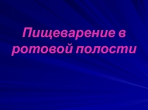 Презентация по биологии Пищеварение в ротовой полости