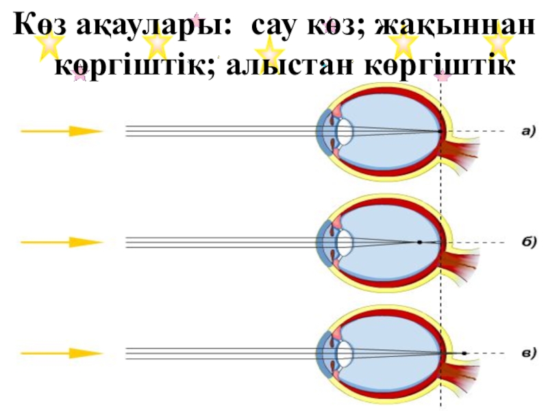 Көз құрылысы презентация