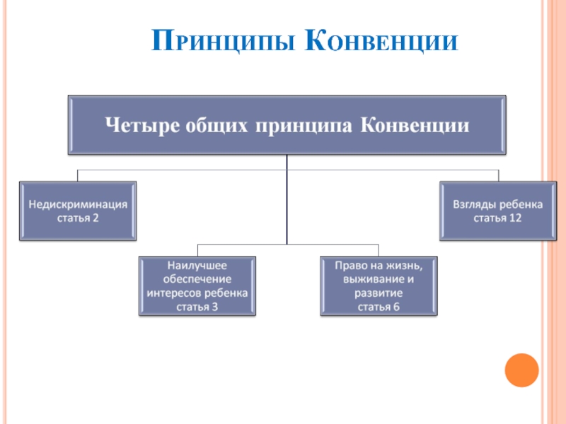 Проект конвенция оон о правах ребенка