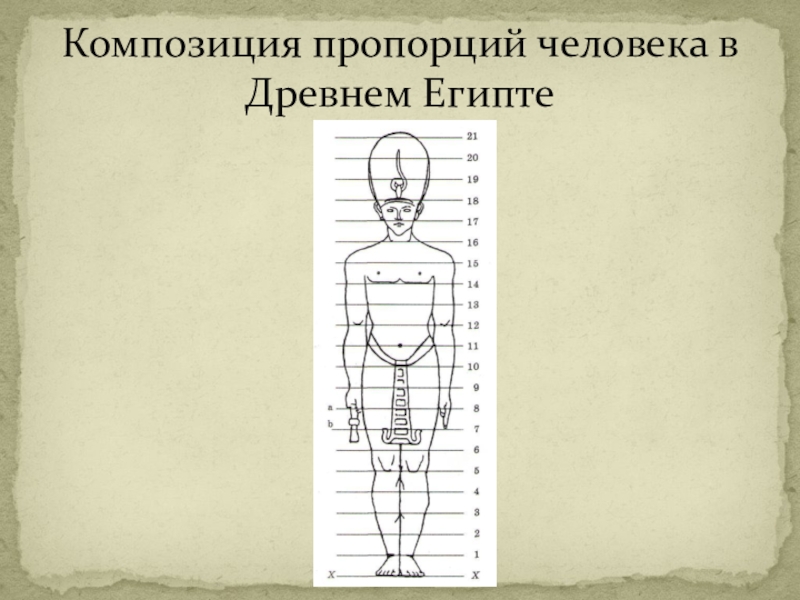 Проект на тему изображение фигуры человека и образ человека