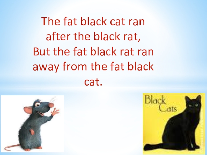 A fat black cat перевод на русский. The fat Black Cat Ran. The fat Black Cat Ran after the Black rat,. Скороговорка a Black Cat sat on a mat and ate a fat rat. A Black Cat sat on a mat.