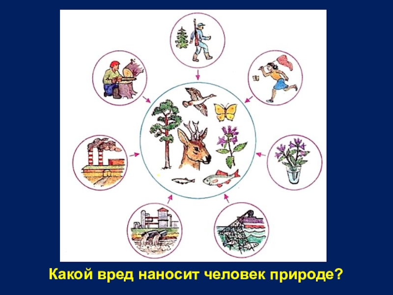 Какой вред наносит. Что наносит вред природе. Вред человека природе. Какой вред наносит человек природе. Что наносит вред природе картинки.