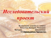 Учебный проект на тему Праздник-Масленица (2 класс)