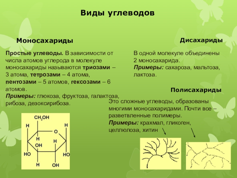 3 типа углеводов