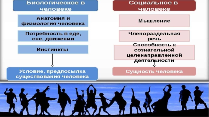 Проект на тему человек в социальном измерении