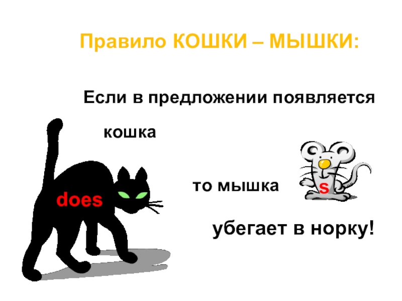 3 правила кошек. Про кошку и мышку на английском. Правила кошек. Правила кошки мышки. Правило Cat.